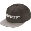 Giant Trucker Cap Black